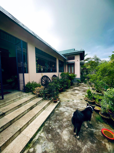 Others 4, Namdang Homestay, Sivasagar