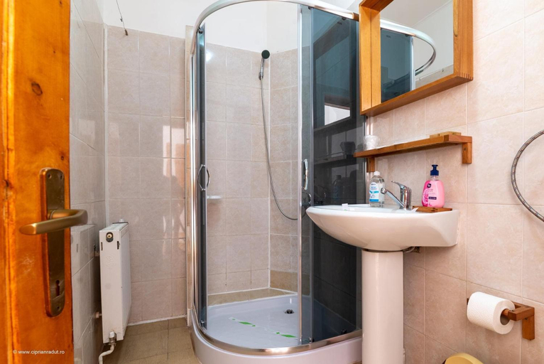 Bathroom, Pensiunea Baron Bazna, Bazna
