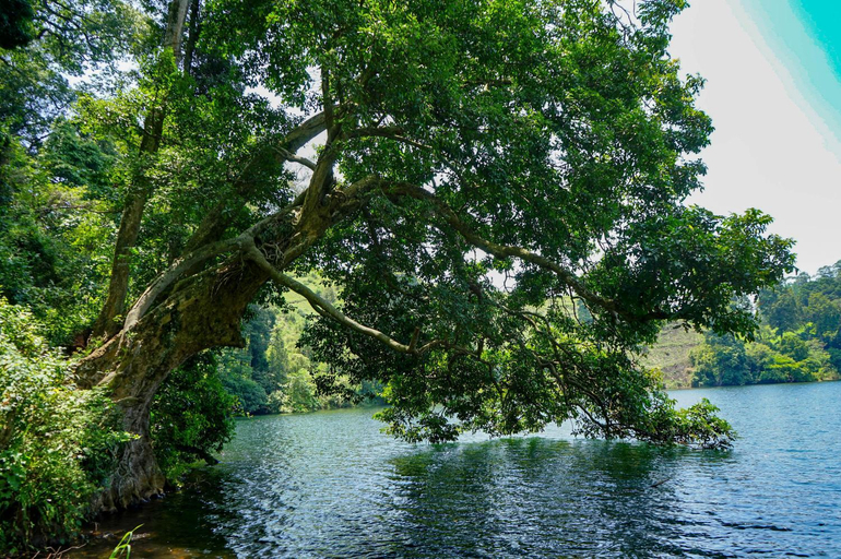 5, Lake Nyamirima cottages, Burahya
