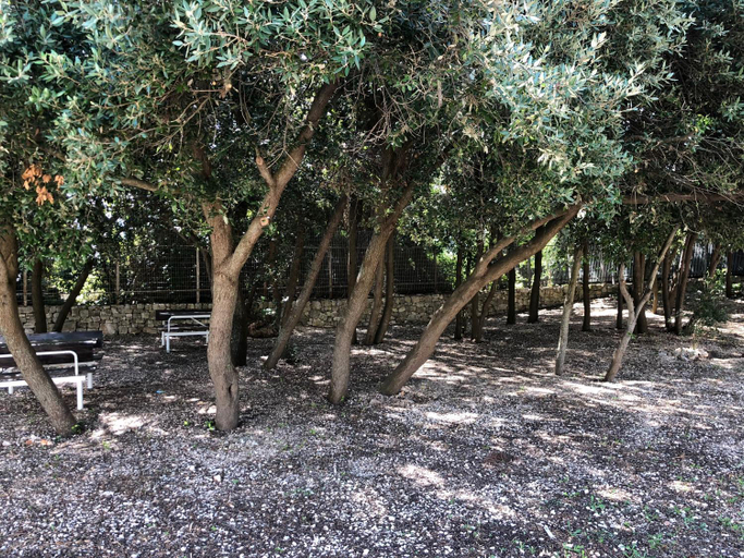 Others 3, VILLA MARIA, Bari
