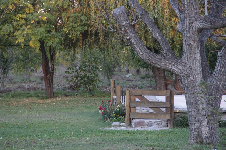 Others 3, Cabana La Palloza, San Rafael