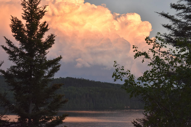 Others 5, Le Gite de la Renarde, Le Fjord-du-Saguenay