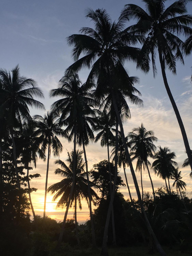 Others 4, World Citizen GuestHouse, Ko Phangan