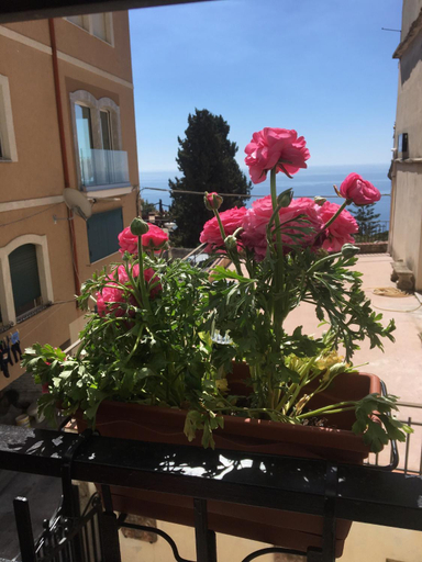 Others 5, B&B Antonella, Messina