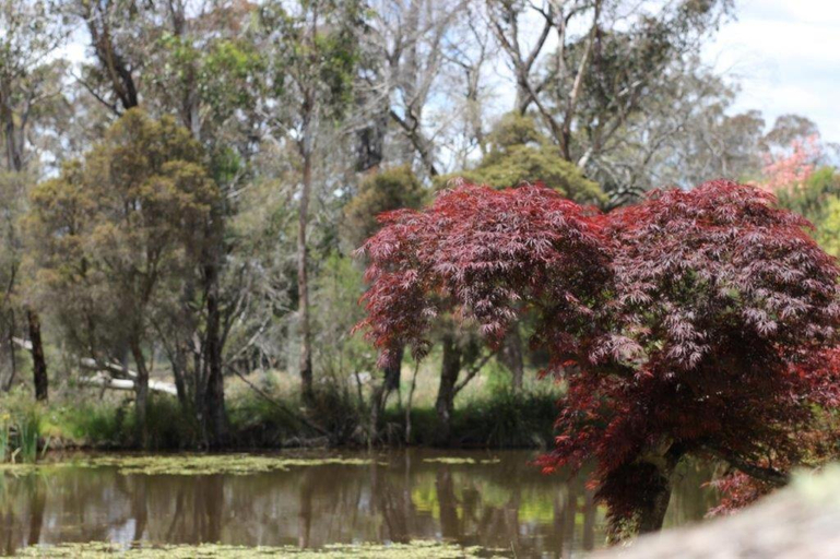 Others 4, Scribbly Farm, Boutique Southern Highlands Accommodation, Wingecarribee