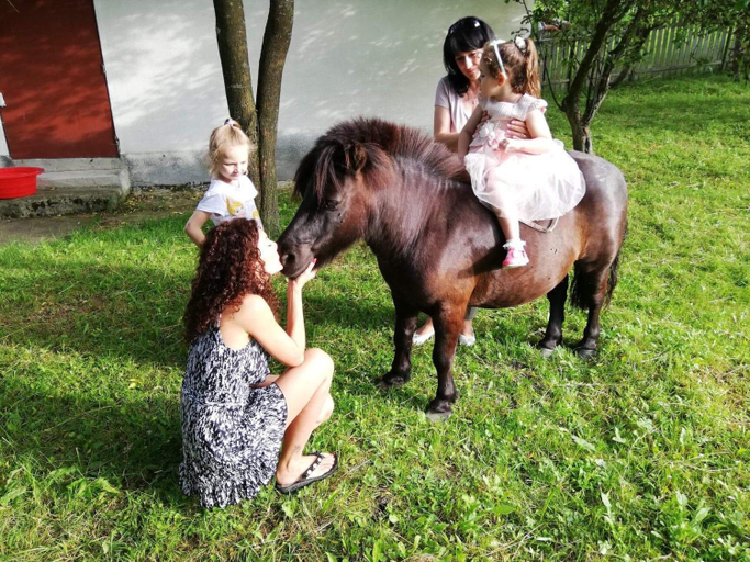 Others 2, CASUTA CU FLORI, Araci