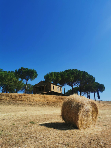 Others 5, Glamping Le Dune, Grosseto