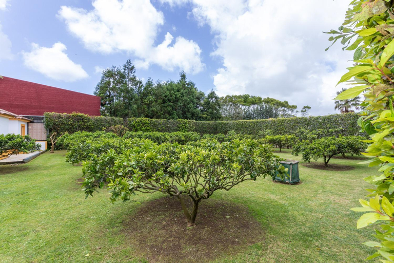 Others 5, Quinta da Paz Azores, Ribeira Grande