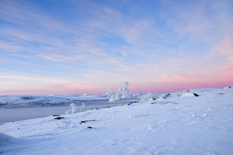 Others 5, Hostel Saana, Lapland