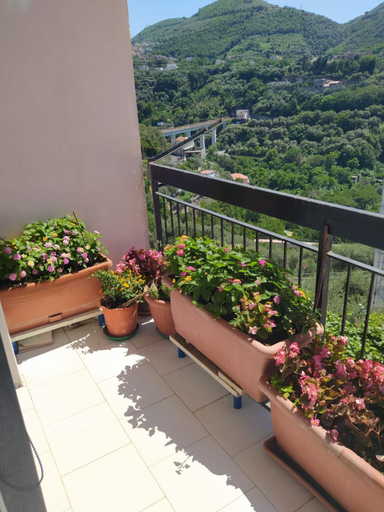 Others 3, B&B ANTONIETTA, Napoli