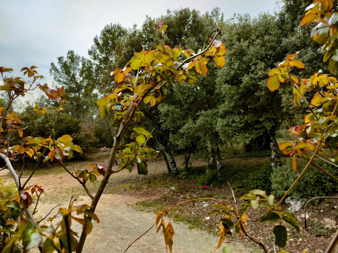 Others 5, OFILDLEAU, Var