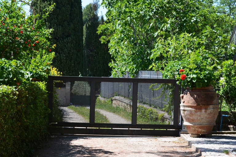 Others 5, B&B Il Giovine, Perugia