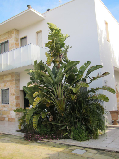 Others 3, B&B Neptunia fronte mare, Lecce