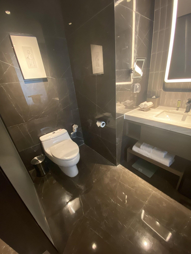Bathroom 4, Four Points By Sheraton Chengdu Tianfu New Area, Chengdu