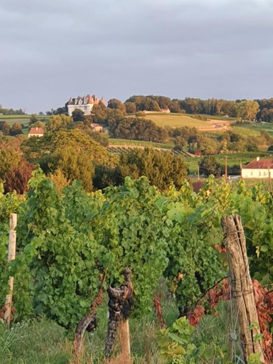 Others 5, Clair de Vigne, Dordogne