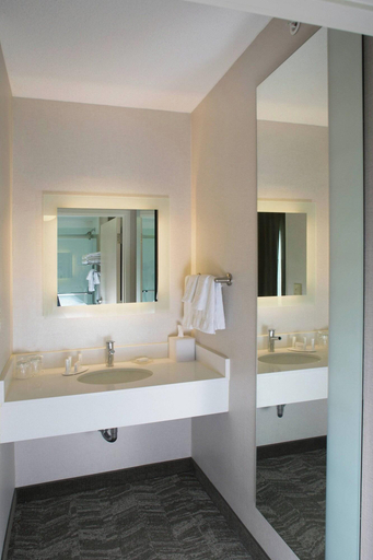 Bathroom 4, Springhill Suites by Marriott Billings, Yellowstone