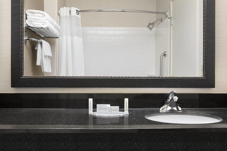 Bathroom 4, Dubuque Inn & Suites, Dubuque