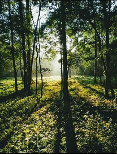 Others 5, Vamoose Aaltapori, Alipurduar