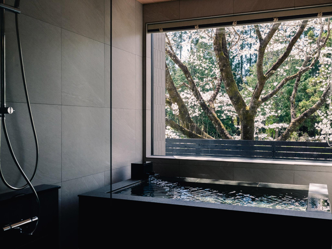 Bathroom 2, Tef Tanigumi, Ibigawa