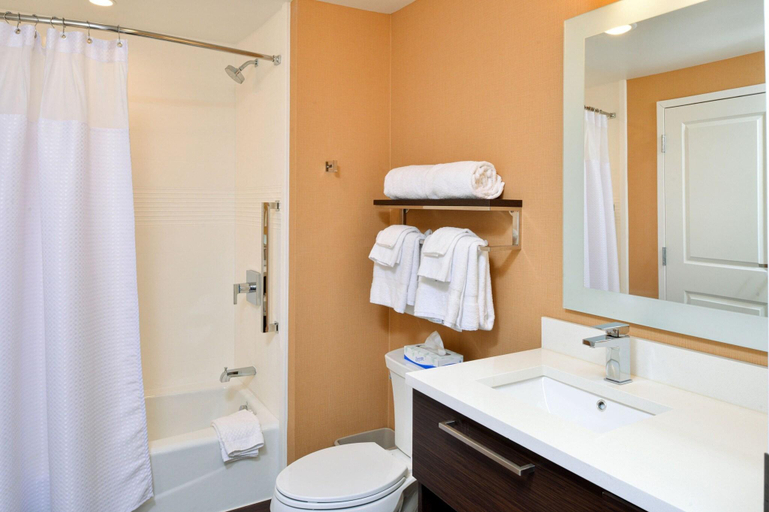 Bathroom 5, Towneplace Suites By Marriott Detroit Belleville, Wayne