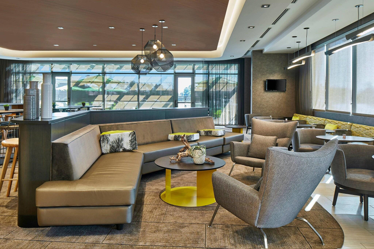 Public Area 3, SpringHill Suites by Marriott Charlotte at Carowinds, Mecklenburg