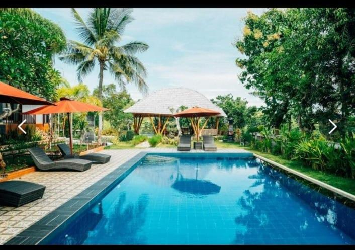 Sport & Beauty 5, Tinggian Hill Retreat, Klungkung