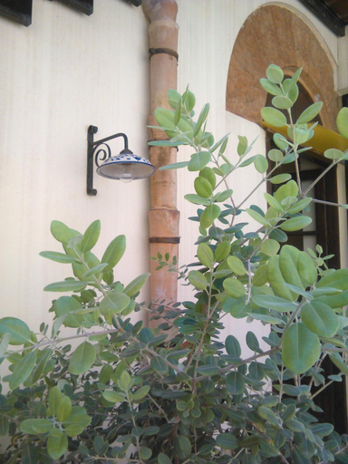 Others 3, Aziyz Camere, Trapani