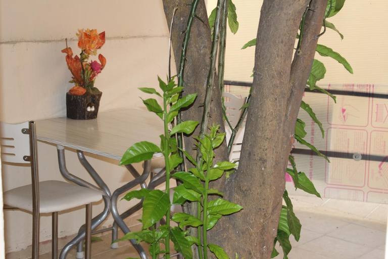 Others 4, Carvan hotel, Fatih