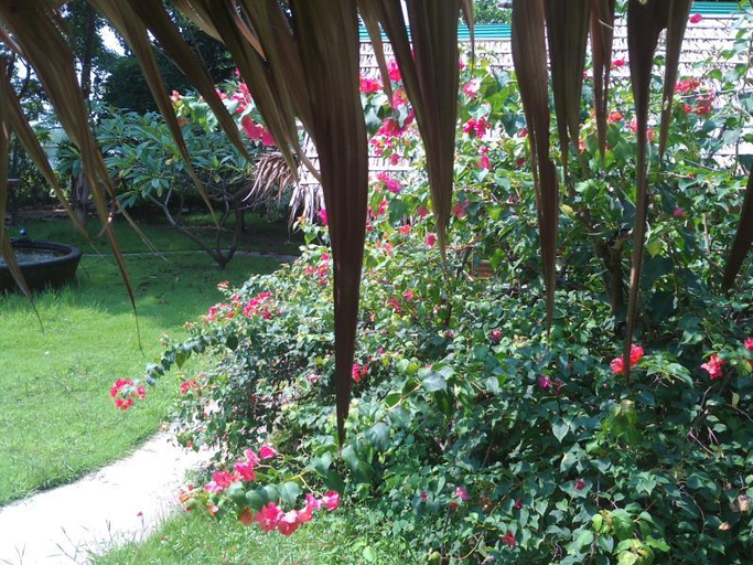 Others 5, Ban Sabai Sabai Guest House, Muang Kanchanaburi