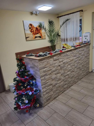 Public Area 2, Thor si Cora, Sovata
