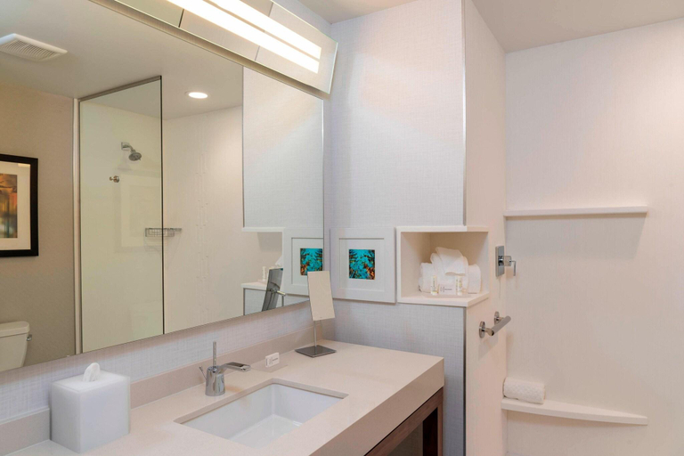 Bathroom 5, Courtyard by Marriott Cleveland Elyria, Lorain