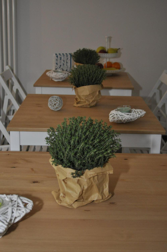 Food & Drinks 2, B&B Acquamarina, Massa Carrara