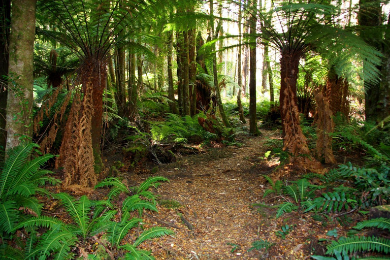 Others 4, Marysville Garden Cottages, Murrindindi - East