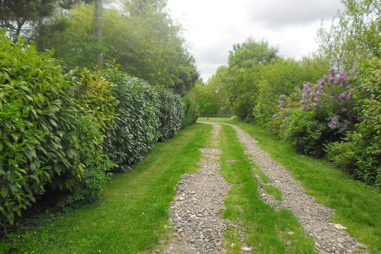 Others 5, Domaine de Benveau, Cher