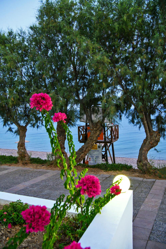 Others 4, Aliki Studios, North Aegean
