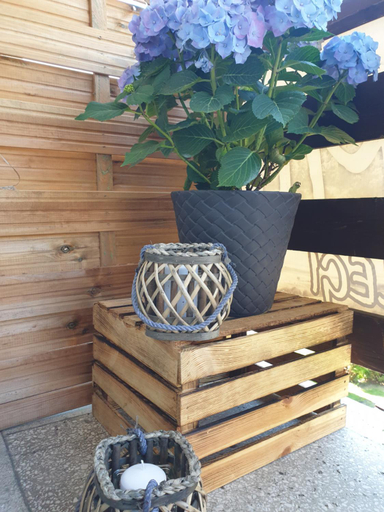 Food & Drinks, Familiowka, Nowy Targ