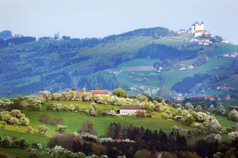 Others 5, Landhotel Moshammer, Waidhofen an der Ybbs