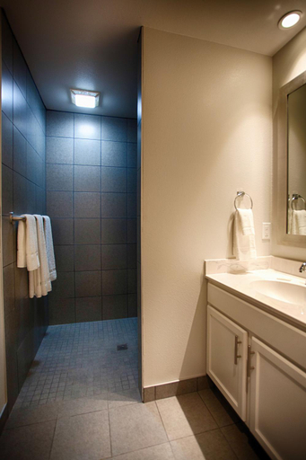 Bathroom 4, Z Loft Extended Stay Hotel, Pulaski