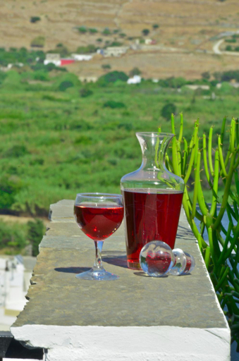 Food & Drinks 5, Naxos Filoxenia Hotel, South Aegean