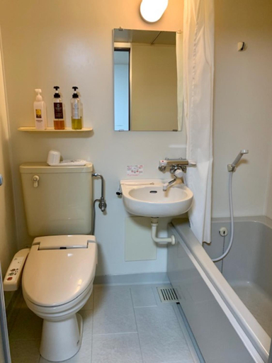 Bathroom, Business Hotel Rupinas, Takamatsu