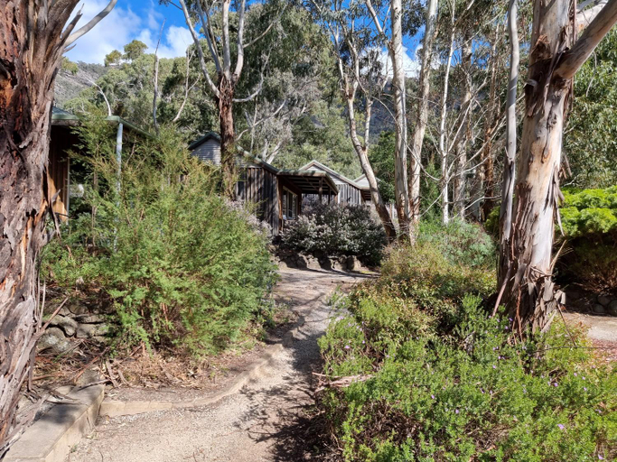Garden 5, D'Altons Studios, N. Grampians  - Stawell