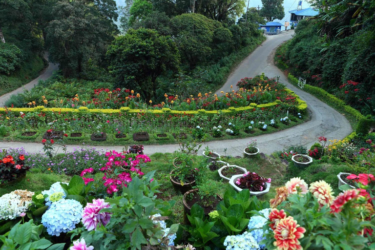 Others 1, Olive Brook Resort, Idukki