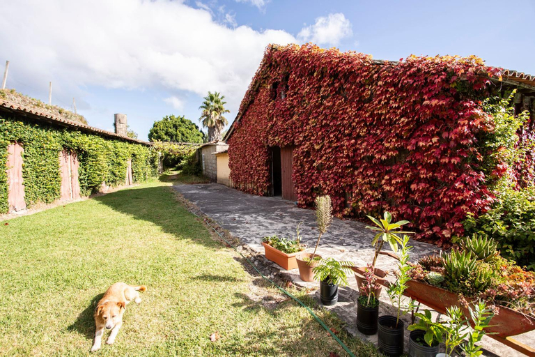 Casa da Varzea, Ponte de Lima