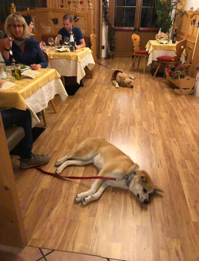 Bedroom, Alpine Touring Hotel-petfriendly, Trento