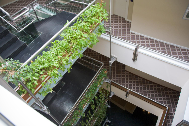 Public Area 5, Hotel Federico II, Ancona