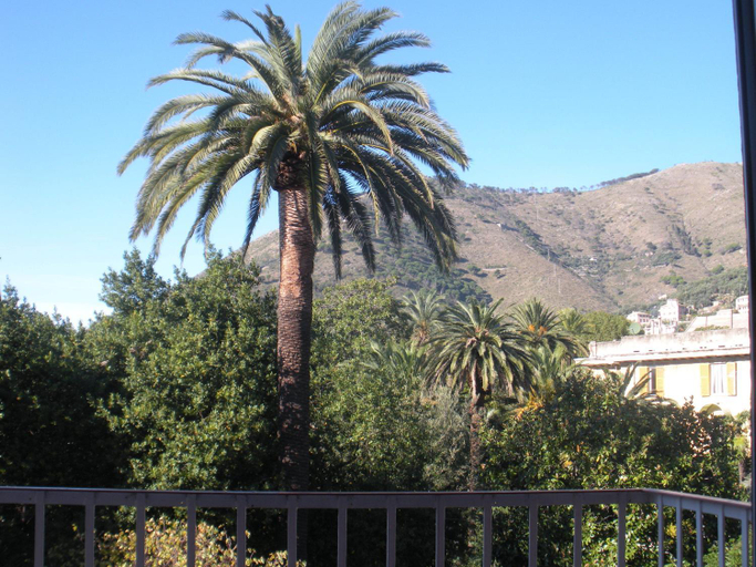 Scenery 9