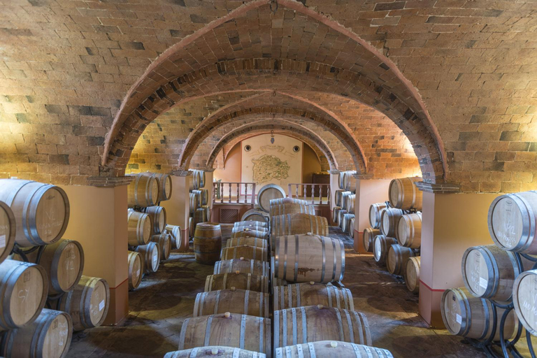 Food & Drinks 4, Castello Ginori Di Querceto, Pisa