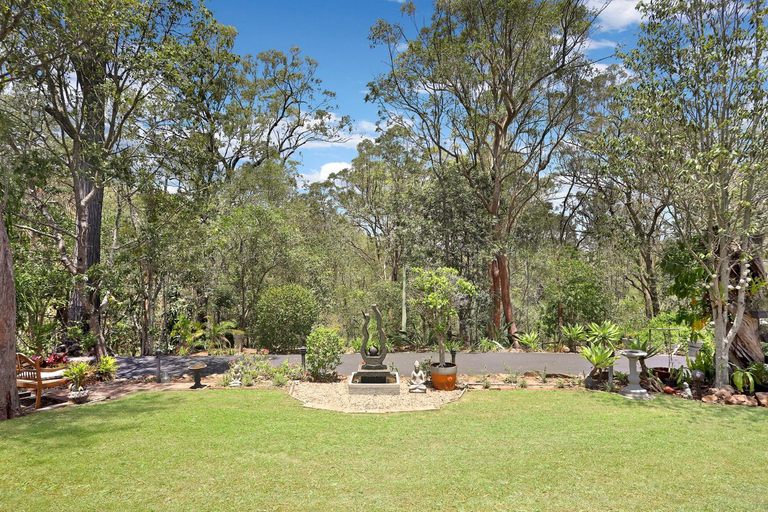 Others 5, The Odd Gecko, Tamborine Mountain