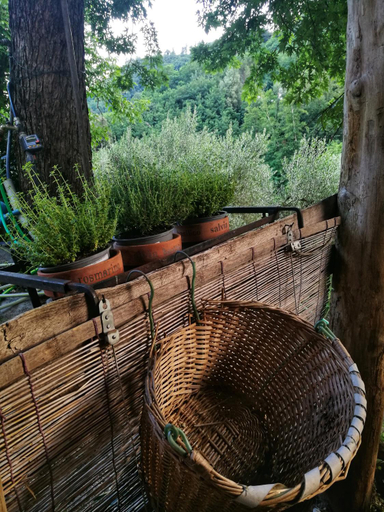 Others 5, Agriturismo Tananei, Pistoia