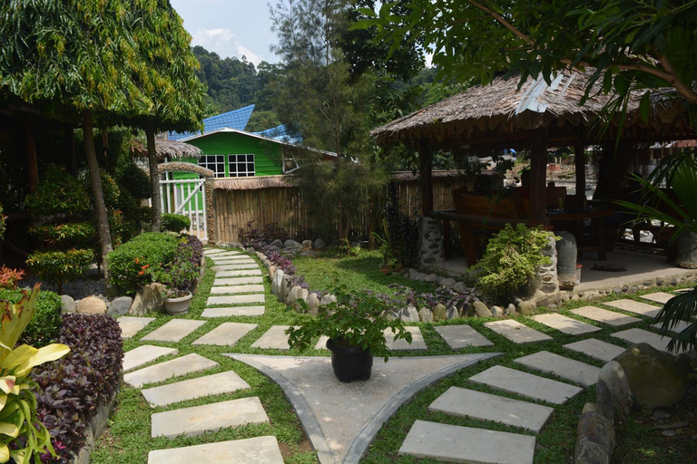 Others 4, Junia Guesthouse Bukit Lawang, Langkat